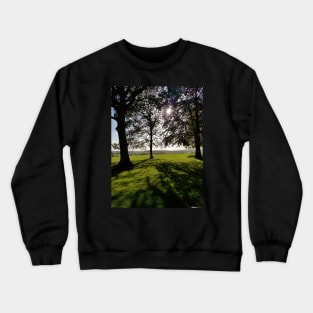 Shadow and Light Crewneck Sweatshirt